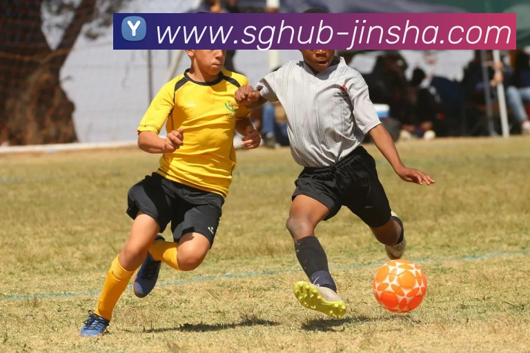 金沙娱乐平台生态图